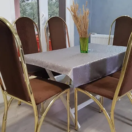 Kriva Drina Apartamento *