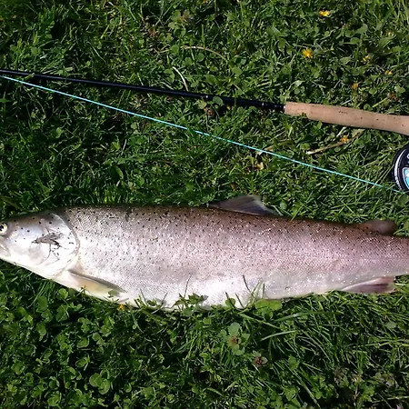 Apartamento Kriva Drina Okletac